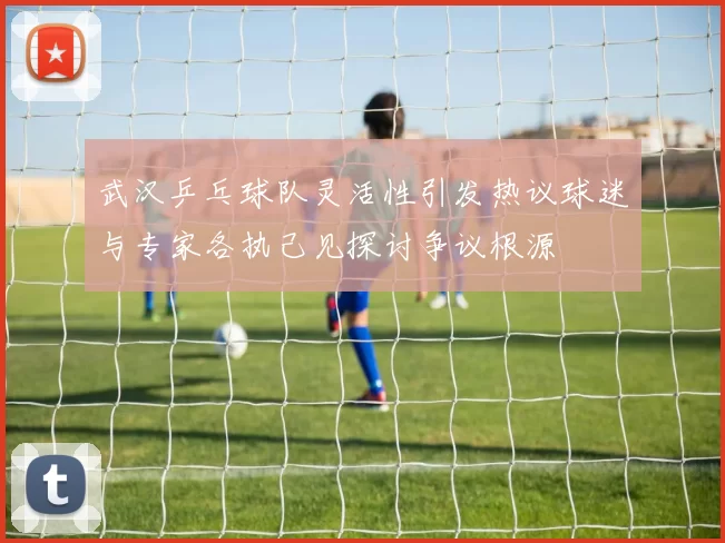 武汉乒乓球队灵活性引发热议球迷与专家各执己见探讨争议根源