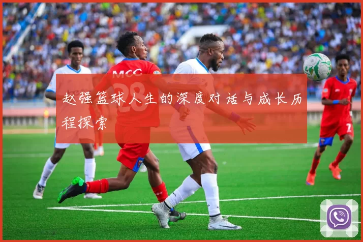 赵强篮球人生的深度对话与成长历程探索