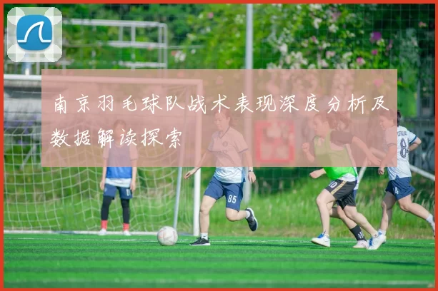 南京羽毛球队战术表现深度分析及数据解读探索