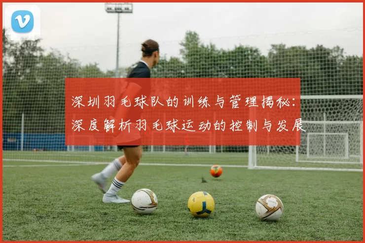深圳羽毛球队的训练与管理揭秘：深度解析羽毛球运动的控制与发展