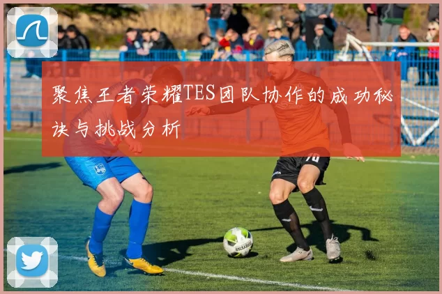 聚焦王者荣耀TES团队协作的成功秘诀与挑战分析