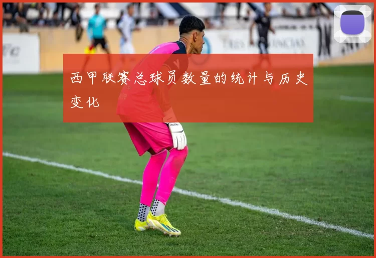 西甲联赛总球员数量的统计与历史变化