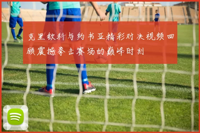 克里钦科与约书亚精彩对决视频回顾震撼拳击赛场的巅峰时刻