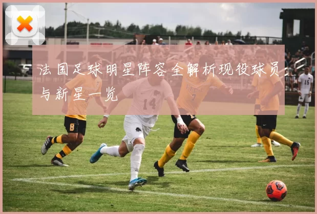 法国足球明星阵容全解析现役球员与新星一览