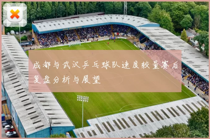 成都与武汉乒乓球队速度较量赛后复盘分析与展望