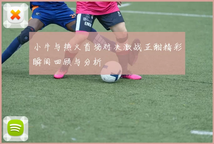 小牛与热火首场对决激战正酣精彩瞬间回顾与分析
