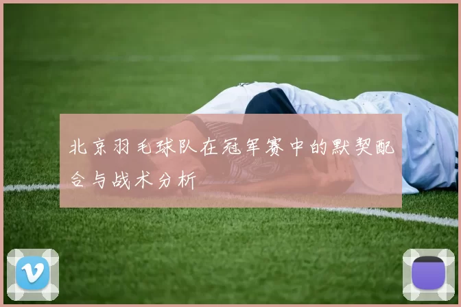 北京羽毛球队在冠军赛中的默契配合与战术分析