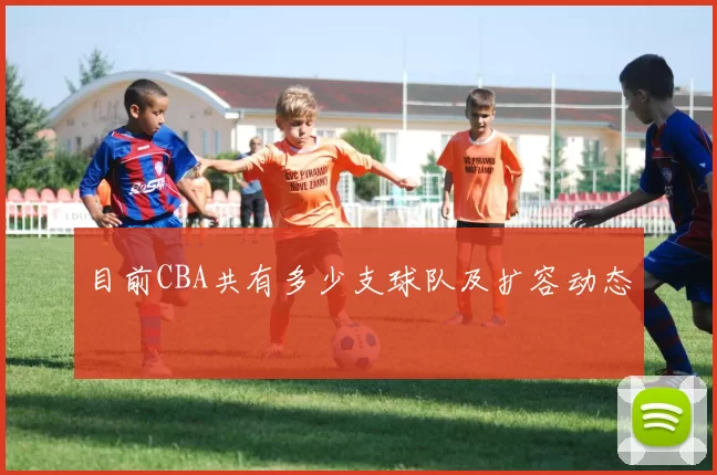 目前CBA共有多少支球队及扩容动态
