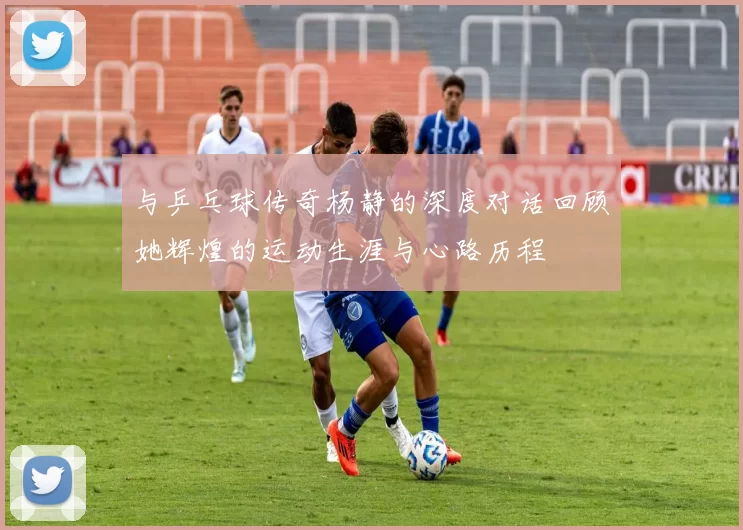 与乒乓球传奇杨静的深度对话回顾她辉煌的运动生涯与心路历程