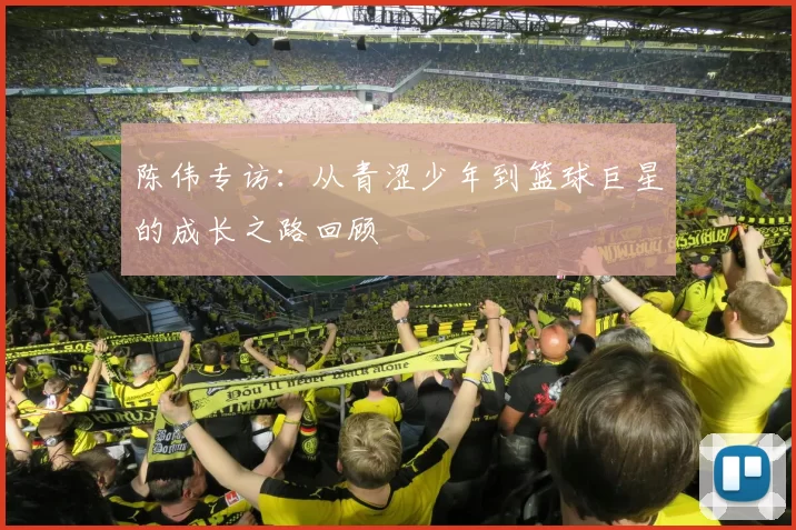 陈伟专访：从青涩少年到篮球巨星的成长之路回顾