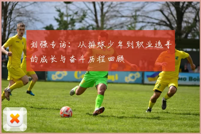 刘强专访：从排球少年到职业选手的成长与奋斗历程回顾