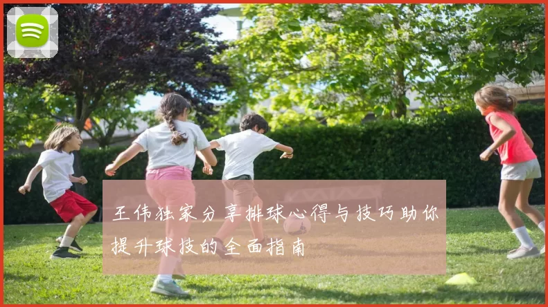 王伟独家分享排球心得与技巧助你提升球技的全面指南
