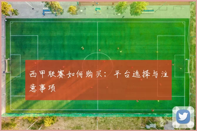 西甲联赛如何购买：平台选择与注意事项