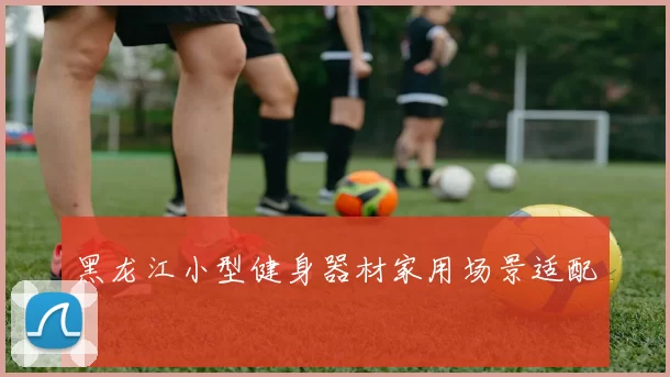 黑龙江小型健身器材家用场景适配