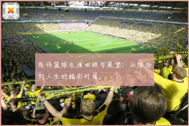 陈伟篮球生涯回顾与展望：从球场到人生的精彩对话