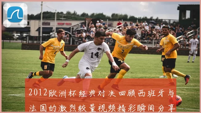 2012欧洲杯经典对决回顾西班牙与法国的激烈较量视频精彩瞬间分享