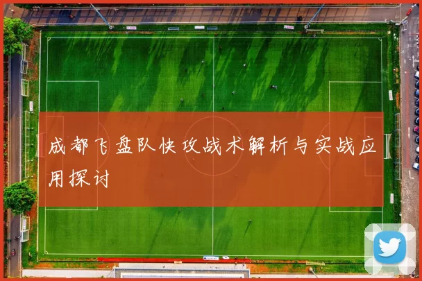 成都飞盘队快攻战术解析与实战应用探讨