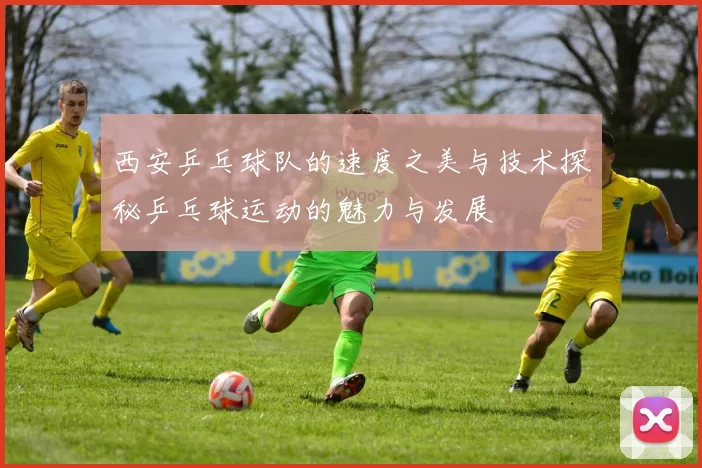 西安乒乓球队的速度之美与技术探秘乒乓球运动的魅力与发展