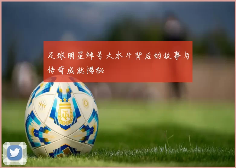 足球明星绰号大水牛背后的故事与传奇成就揭秘