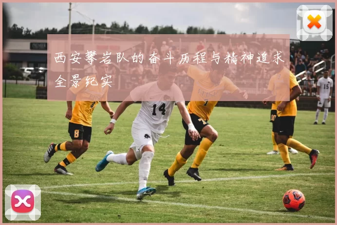西安攀岩队的奋斗历程与精神追求全景纪实