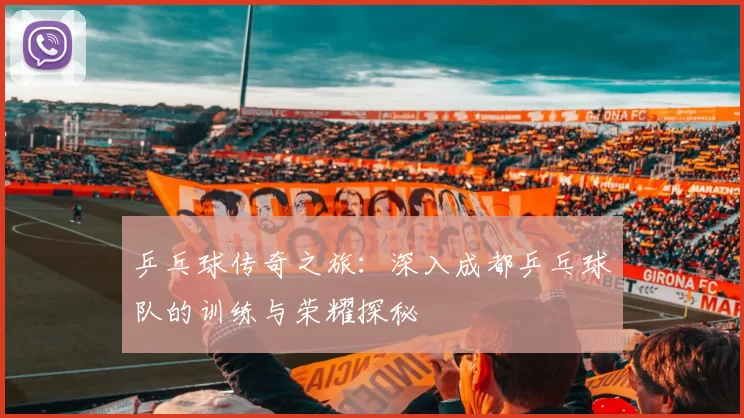 乒乓球传奇之旅：深入成都乒乓球队的训练与荣耀探秘