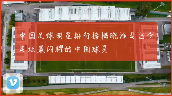 中国足球明星排行榜揭晓谁是当今足坛最闪耀的中国球员