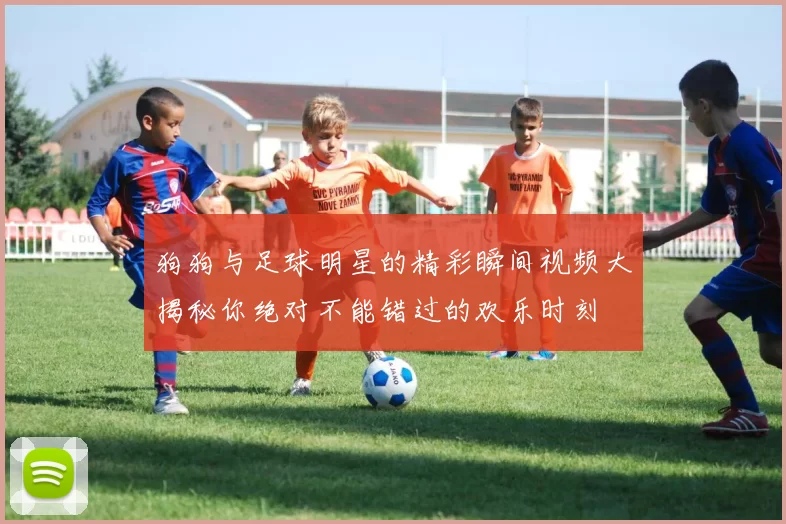 狗狗与足球明星的精彩瞬间视频大揭秘你绝对不能错过的欢乐时刻
